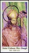 San Colmán de Kilmacduagh, obispo